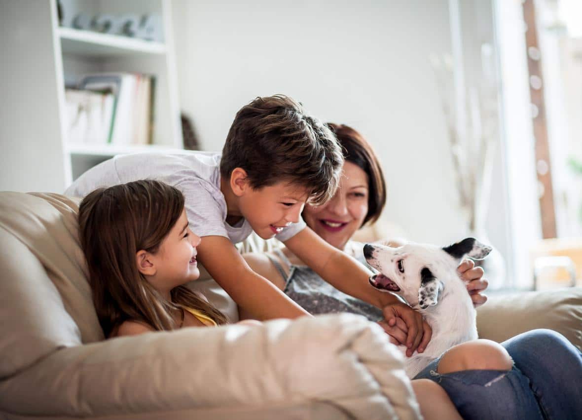 Happy family playing with a dog