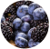 Berries