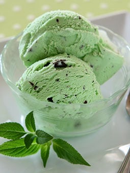 A bowl with two scoops of mint chocolate chip ice cream
