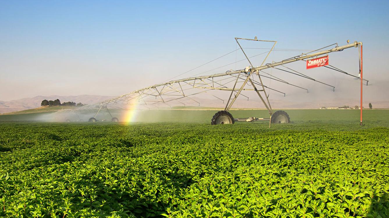 An irrigation system in a field