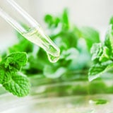 A dropper with mint extract
